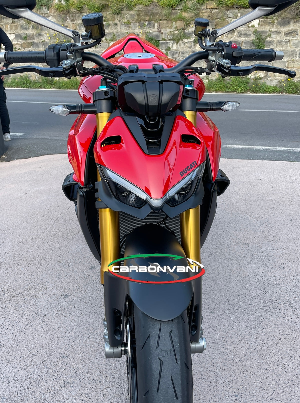 Carbonvani - Ducati Streetfighter V4 / V2 GP Style Carbon Fiber Winglet Kit (2 pieces)