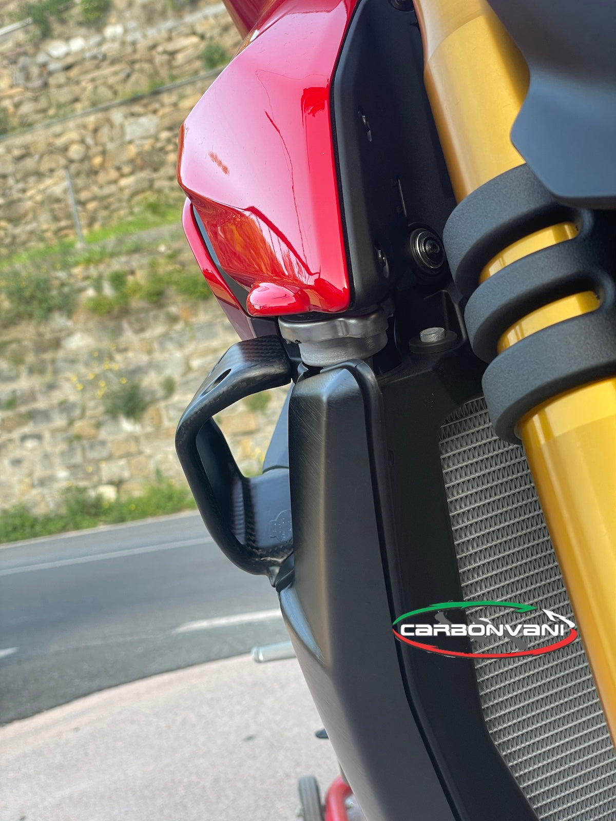 Carbonvani - Ducati Streetfighter V4 / V2 GP Style Carbon Fiber Winglet Kit (2 pieces)