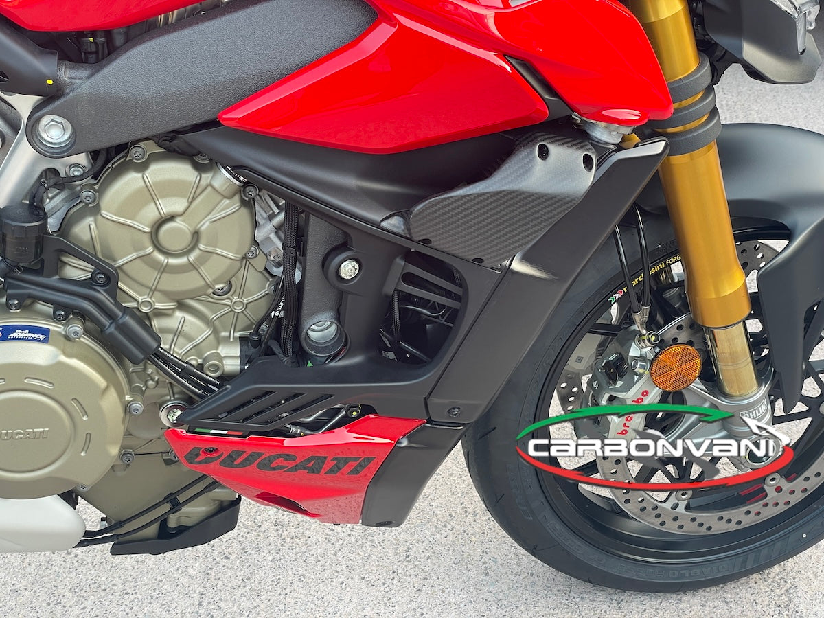 Carbonvani - Ducati Streetfighter V4 / V2 GP Style Carbon Fiber Winglet Kit (2 pieces)