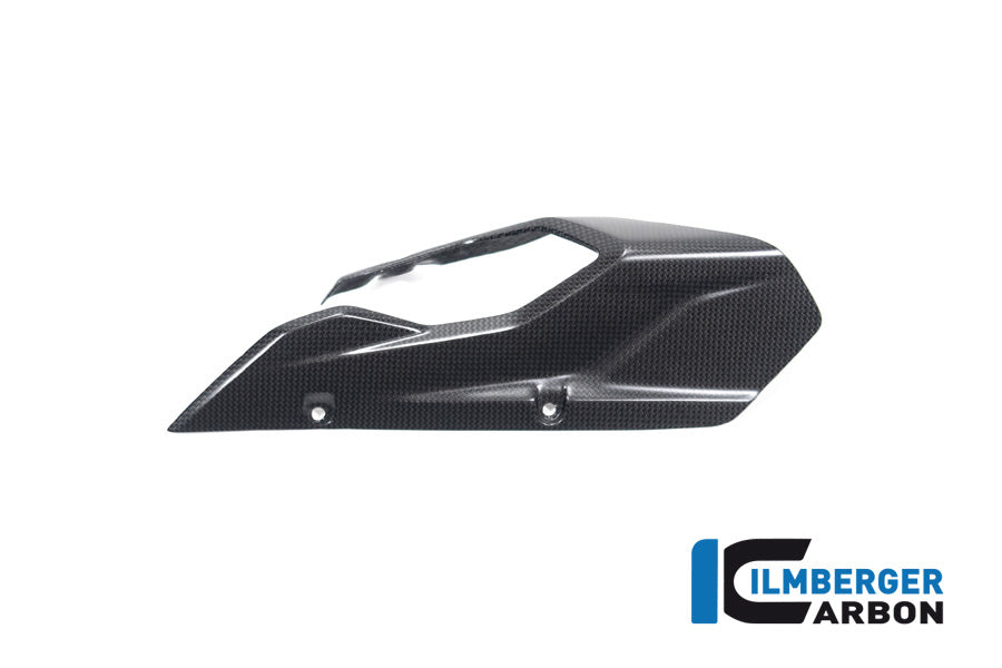 Ilmberger Carbon Chainguard/Swingarm Matt Surface for the Ducati Multistrada V4 / V4 S '20