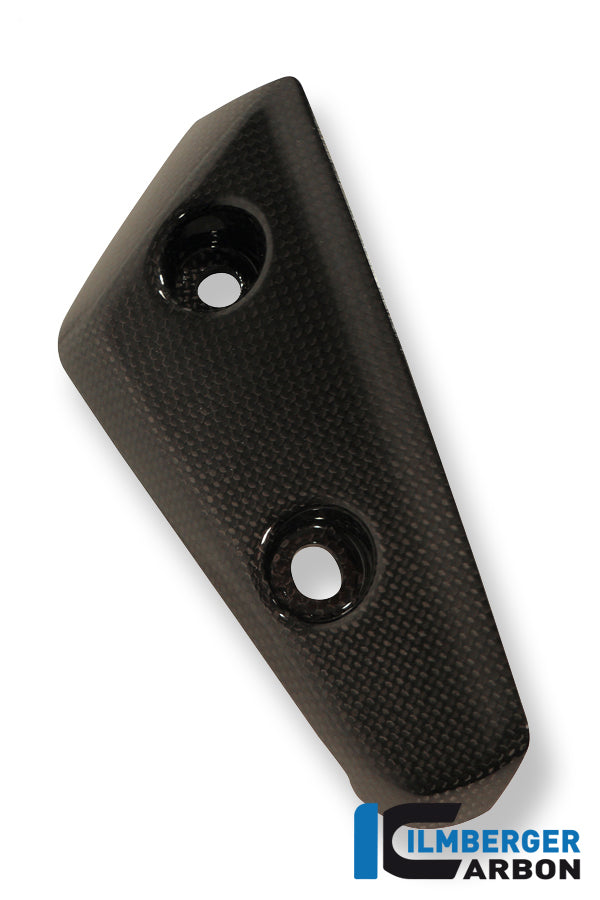 Ilmberger Carbon Wind Flap On Front Mudguard Left, for the Triumph Speed Triple '11-25