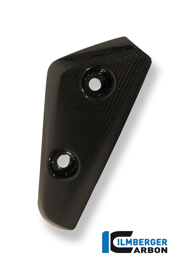 Ilmberger Carbon Wind Flap On Front Mudguard Left, for the Triumph Speed Triple '11-25