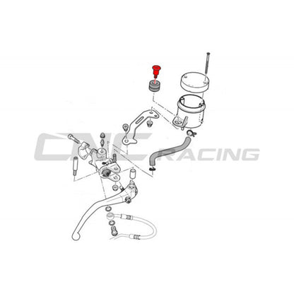 CNC Racing Reservoir Mounting Screw for most Ducati and Motorcycles with Round Brembo Reservoirs