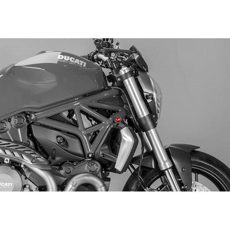 CNC Racing Radiator Screw for Ducati Monster 821 and 1200