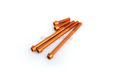 Evotech Srl Aluminum Screw Kit for CM-09-01 Clear Wet Clutch Cover for KTM 950-990-1190-1195-1290-1390 (LC8 Motors)