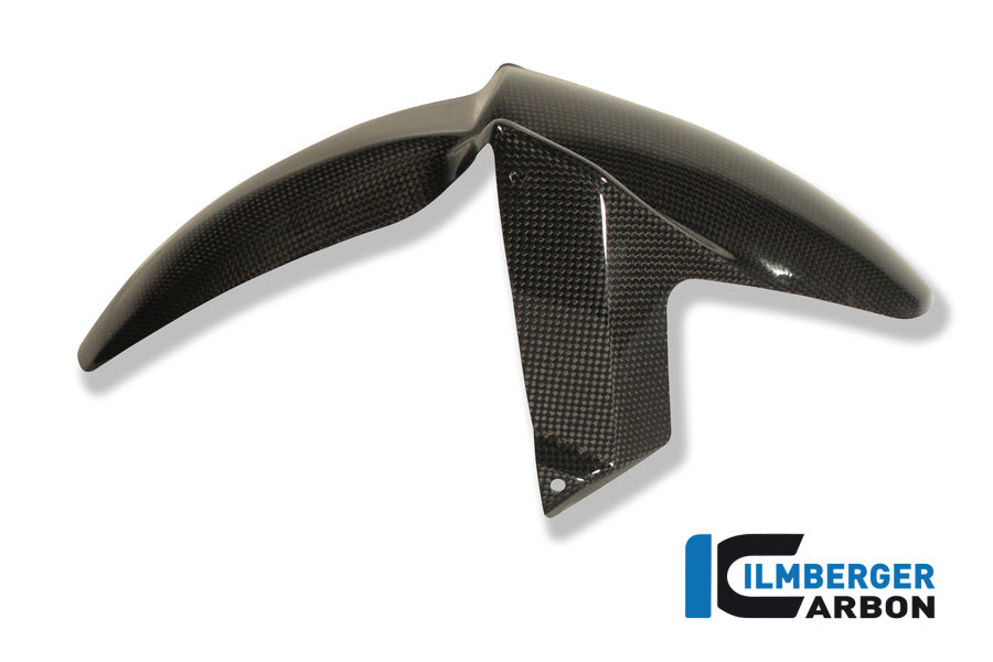 Ilmberger Carbon Front Mudguard, Carbon for the BMW F800 R '09-14, F800 GT '12-24