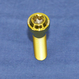 Proti M10 Universal Bolt M10L40-OTB03