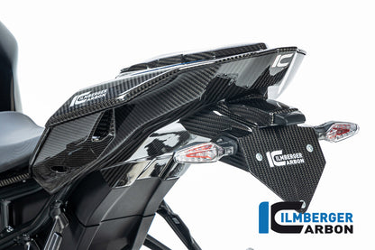 Ilmberger Carbon Number Plate Holder for the BMW S 1000 R '21 / S 1000 RR '19-23 / M 1000 R '23-24 / M 1000 RR '21-24