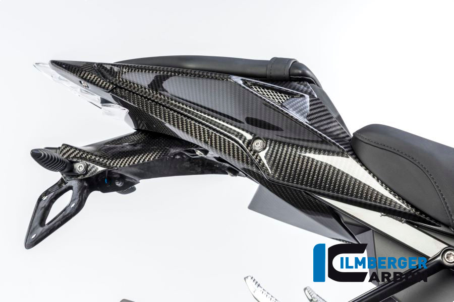 Ilmberger Carbon Number Plate Holder, Carbon for the BMW S 1000 R '14-25 / S 1000 RR '09-24 / HP4 '12-25