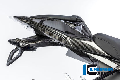 Ilmberger Carbon Number Plate Holder, Carbon for the BMW S 1000 R '14-25 / S 1000 RR '09-24 / HP4 '12-25