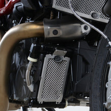 R&G Racing Oil Cooler Guard for Indian FTR1200 (S) '19-'22