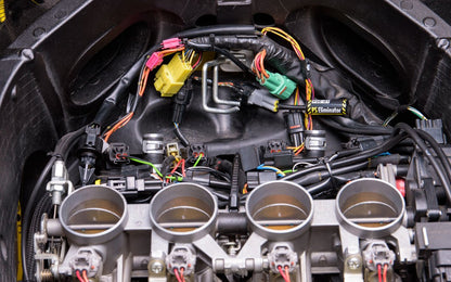 Healtech PS (PAIR Air injection System) Eliminator Type 5