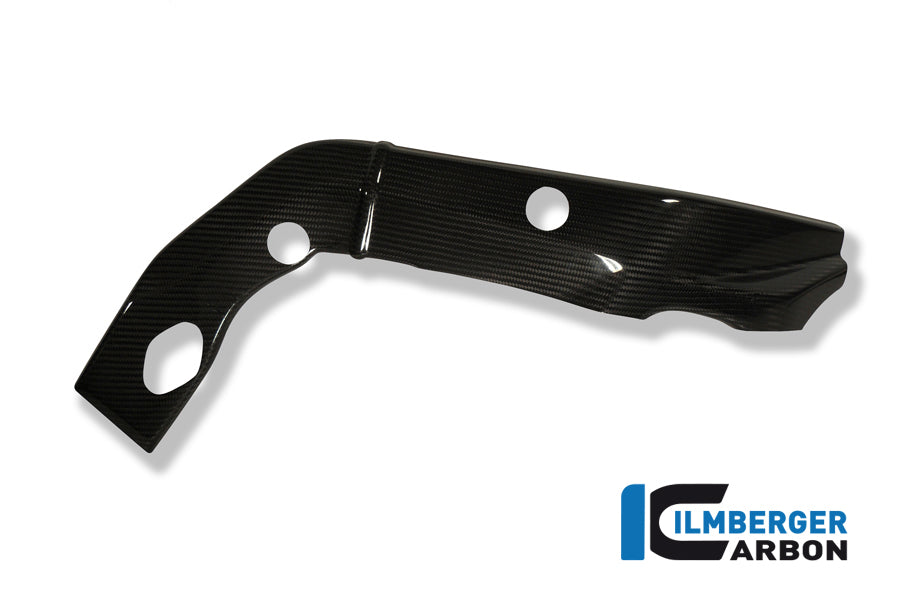 Ilmberger Carbon Frame Cover Set (Left & Right), Carbon for the BMW S 1000 RR Racing 2009-2011