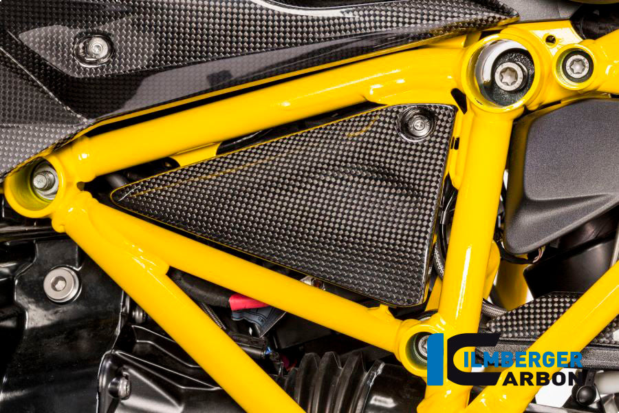 Ilmberger Carbon Triangular Frame Cover, Left Carbon for the BMW R 1200 GS '13-17, R 1200 RS '15-24, R 1200 GS Adventure 2014