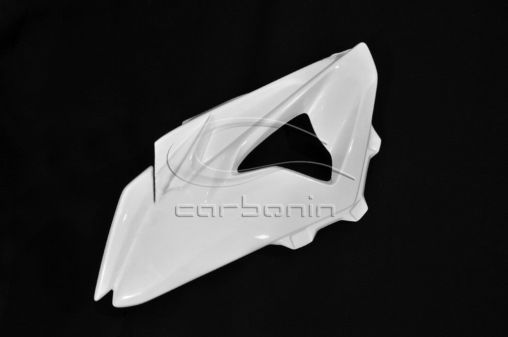 CARBONIN AVIO FIBER RACE BODYWORK FOR BMW S1000RR (2010-2014)