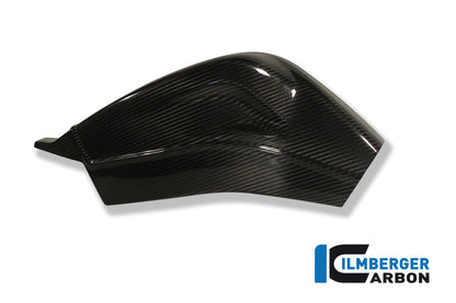 Ilmberger Carbon Swing Arm Cover (Set-Left & Right), Carbon for the BMW S 1000 R '14-25 / S 1000 RR '09-18 / HP4 '12-25