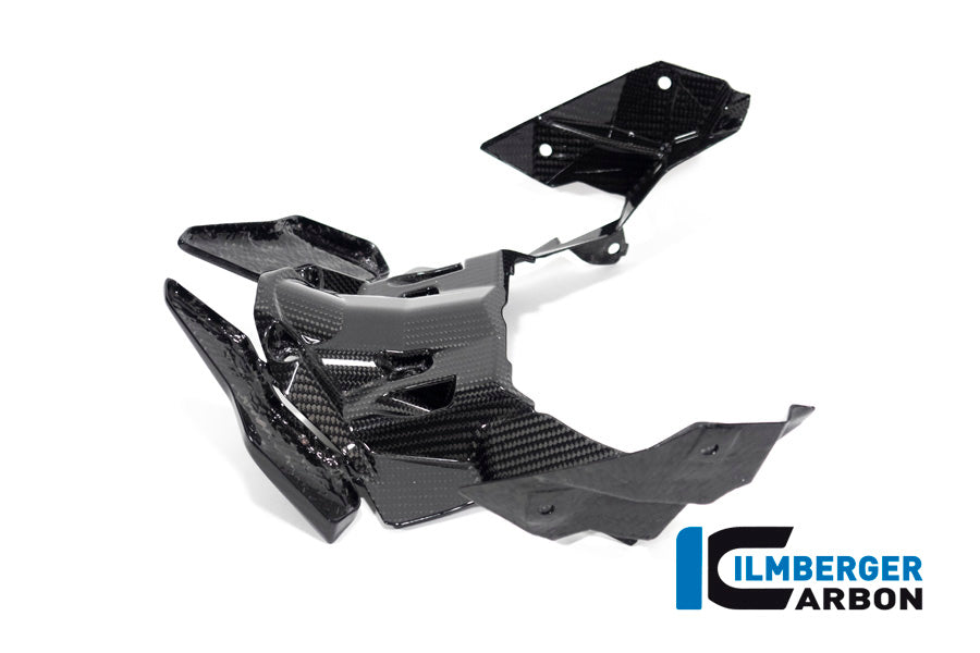 Ilmberger Carbon Front Beak Extension for the BMW S 1000 XR 2020-2023