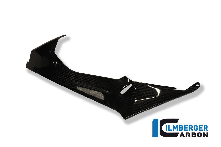 Ilmberger Carbon Tank Side Panel, Left Carbon for the BMW S 1000 RR Stocksport / Racing 2009-2014