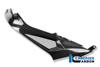 Ilmberger Carbon Tank Side Panel, Left Side Carbon for the BMW S 1000 R '14-25 / S 1000 RR '15-18