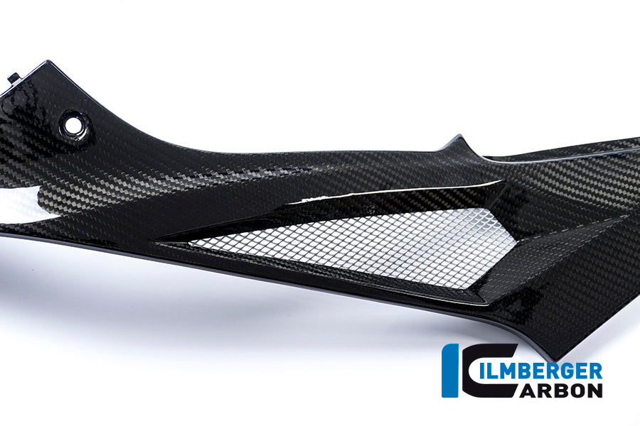 Ilmberger Carbon Tank Side Panel, Left Side Carbon for the BMW S 1000 R '14-25 / S 1000 RR '15-18