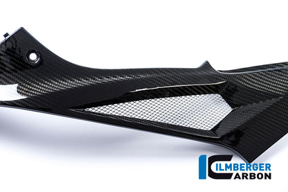 Ilmberger Carbon Tank Side Panel, Left Side Carbon for the BMW S 1000 R '14-25 / S 1000 RR '15-18