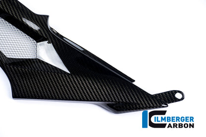 Ilmberger Carbon Tank Side Panel, Left Side Carbon for the BMW S 1000 R '14-25 / S 1000 RR '15-18