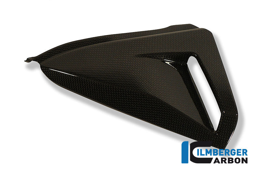 Ilmberger Carbon Cover Under the Seat Left, for the Honda CB 1000 R '08