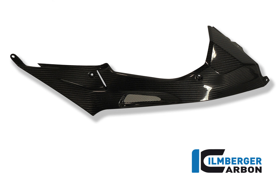 Ilmberger Carbon Tank Side Panel, Right Carbon for the BMW S 1000 RR Racing 2009-2014