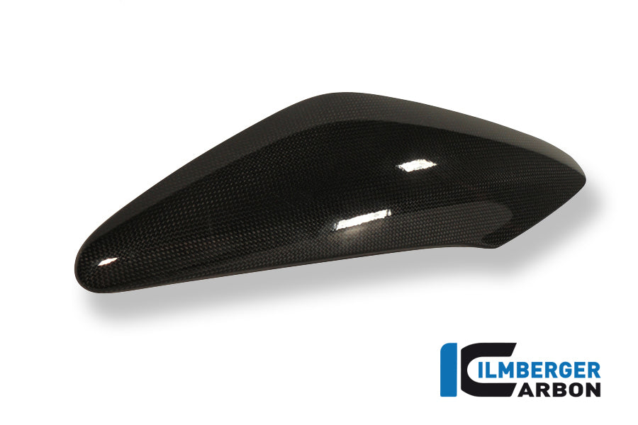 Ilmberger Carbon Side Panel Above Watercooler Left, for the Triumph Speed Triple '11-25