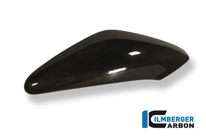 Ilmberger Carbon Side Panel Above Watercooler Left, for the Triumph Speed Triple '11-25