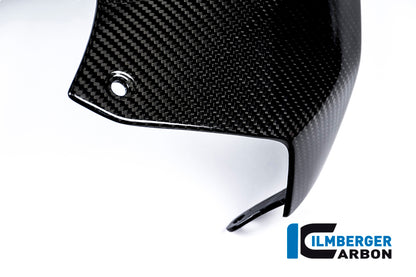 Ilmberger Carbon Upper Tank Cover, Carbon for the BMW S 1000 R '14-24 / S 1000 RR '15-18