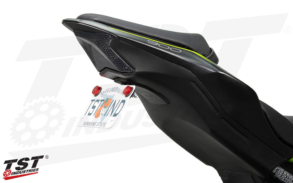 TST Industries Integrated Taillight for Kawasaki Z H2 (2020+), Z650/ Ninja 650 (2017+) and Z900 (17-24)