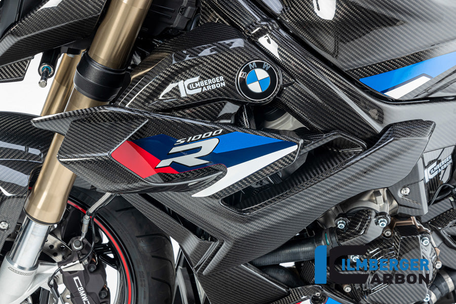 Ilmberger Carbon Side Fairing, Left Side for the BMW S 1000 R 2021