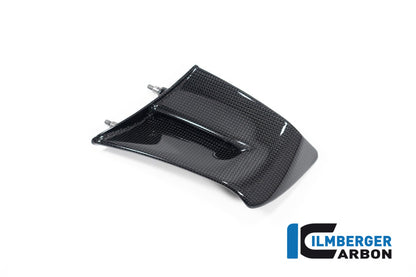 Ilmberger Carbon Winglet, Left Side for the Ducati Panigale V4,V4 R,V4 S Racing '22