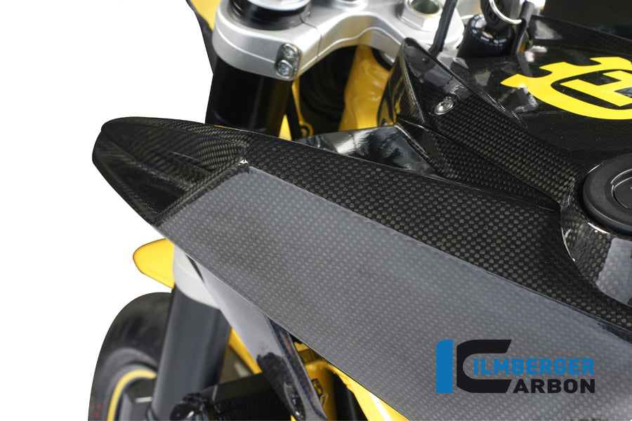 Ilmberger Carbon Fairing Side Panel Left, Side for the Husqvarna Nuda 900 / 900 R '12-14