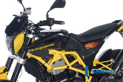 Ilmberger Carbon Fairing Side Panel Left, Side for the Husqvarna Nuda 900 / 900 R '12-14