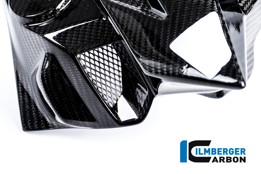 Ilmberger Carbon Watercooler Cover, Left Side Carbon for the BMW S 1000 R 2014-2017