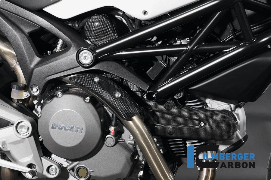 Ilmberger Carbon Cam Belt Covers, Horizontal for the Ducati Monster 696 '08-09, Monster 796 '10-25, Hypermotard 796 '09-12