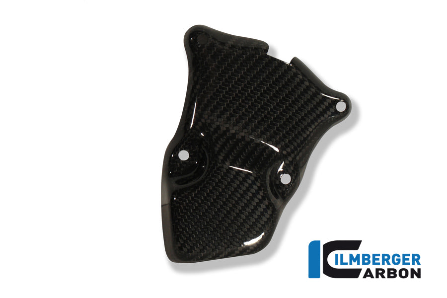 Ilmberger Carbon Ignition Rotor Cover, Carbon for the BMW S 1000 R '14-25 / RR '10-18 / HP4 '12-24 / S 1000 XR '15-19