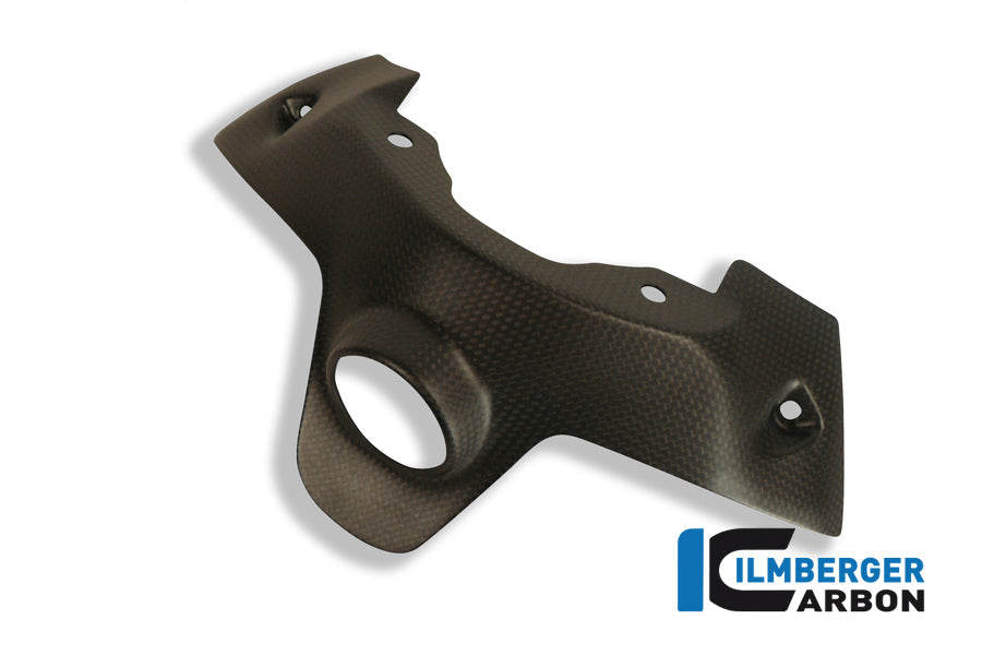 Ilmberger Carbon Ignition Swich Cover for the Ducati Panigale 1299 '15 / 959 Panigale '16-19