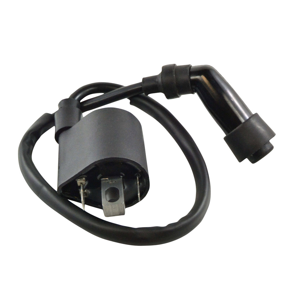 External Ignition Coil W/Spark Plug Cap