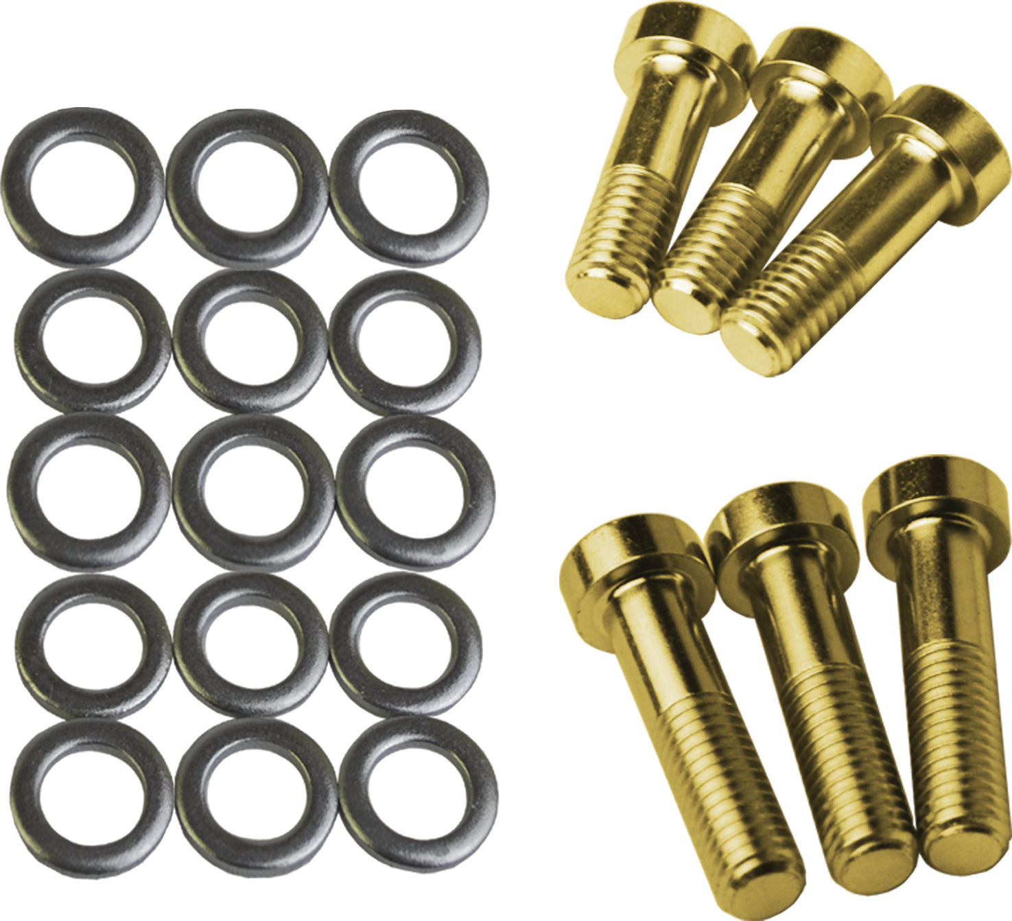 Pivot Bolt Kit Ski Doo P Drive S/M