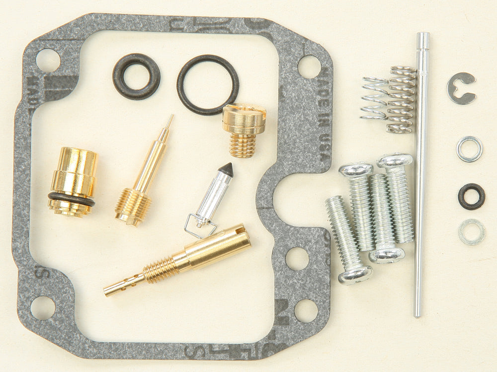 Carburetor Repair Kit