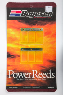 Motorcycle Reeds