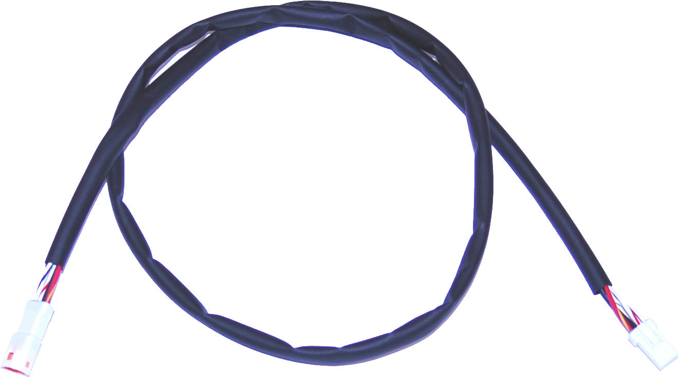 Speedo Ext Harness 32"
