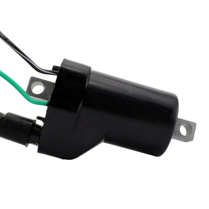 External Ignition Coil W/Spark Plug Cap