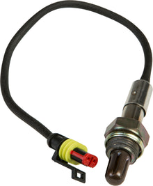 Oxygen Sensor Narrow Band
