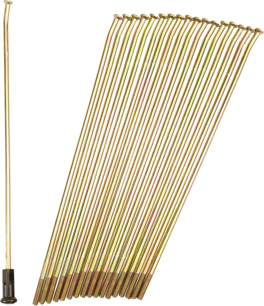 Double Butted Spokes Gold/Black Front 21" 36/Pk