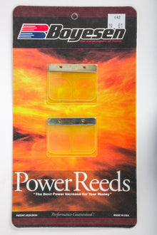 Motorcycle Reeds
