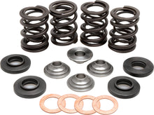 Racing Valve Spring Kit